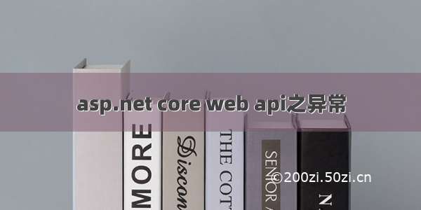 asp.net core web api之异常