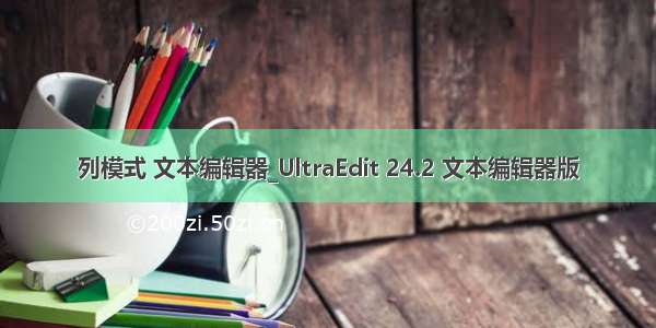 列模式 文本编辑器_UltraEdit 24.2 文本编辑器版