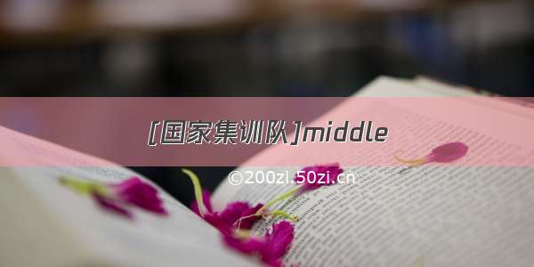 [国家集训队]middle