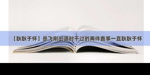 【耿耿于怀】岳飞刚出道时干过的两件蠢事一直耿耿于怀