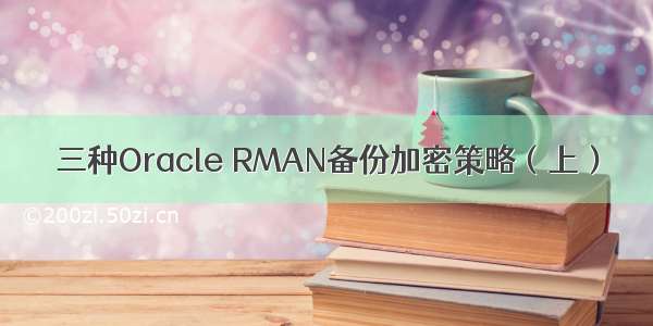 三种Oracle RMAN备份加密策略（上）