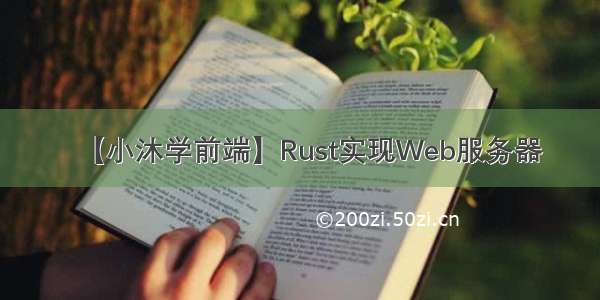 【小沐学前端】Rust实现Web服务器