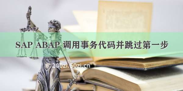 SAP ABAP 调用事务代码并跳过第一步