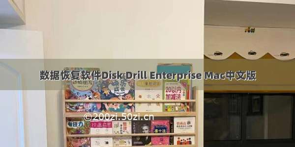 数据恢复软件Disk Drill Enterprise Mac中文版