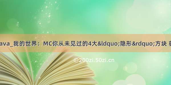 方块盒子怎么打开java_我的世界：MC你从未见过的4大“隐形”方块 获取方法竟这么简单