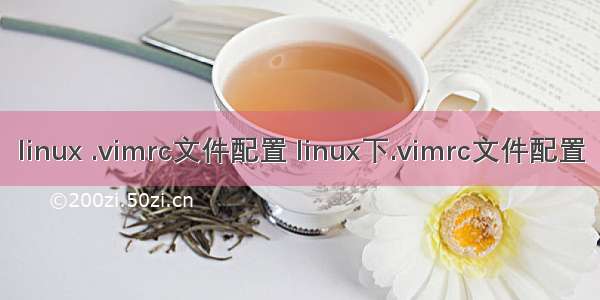 linux .vimrc文件配置 linux下.vimrc文件配置