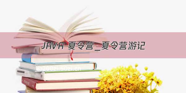 JAVA 夏令营_夏令营游记