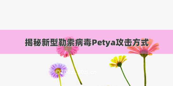 揭秘新型勒索病毒Petya攻击方式