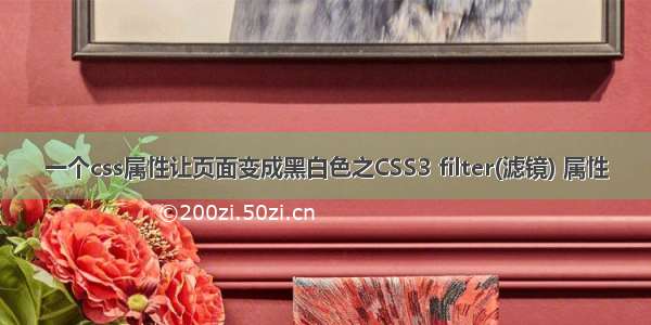 一个css属性让页面变成黑白色之CSS3 filter(滤镜) 属性