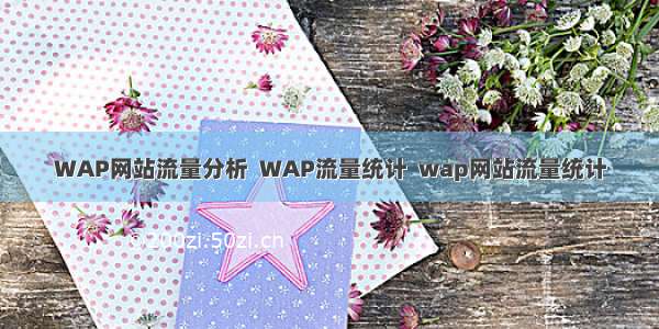 WAP网站流量分析  WAP流量统计  wap网站流量统计