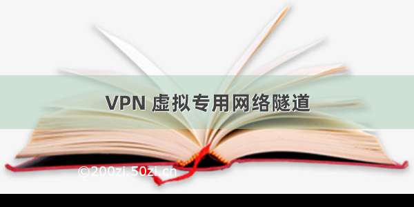 VPN 虚拟专用网络隧道