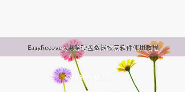 EasyRecovery电脑硬盘数据恢复软件使用教程