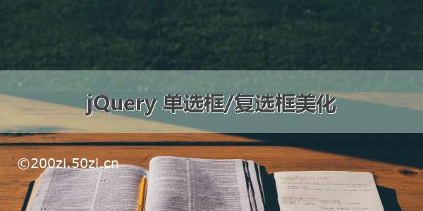 jQuery 单选框/复选框美化