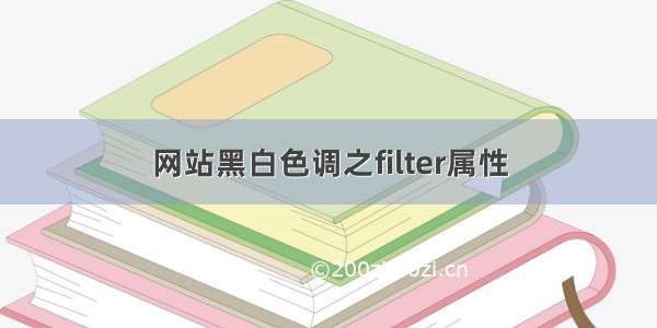 网站黑白色调之filter属性