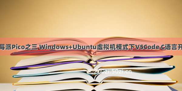 轻松玩转树莓派Pico之三 Windows+Ubuntu虚拟机模式下VSCode C语言开发环境搭建