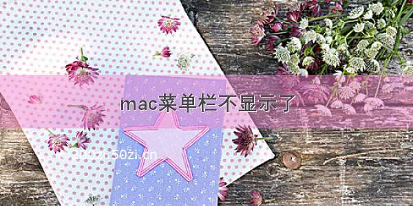 mac菜单栏不显示了