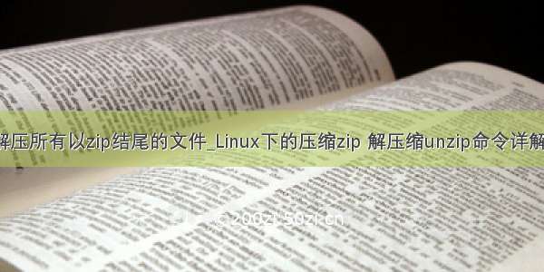 linux 解压所有以zip结尾的文件_Linux下的压缩zip 解压缩unzip命令详解及实例