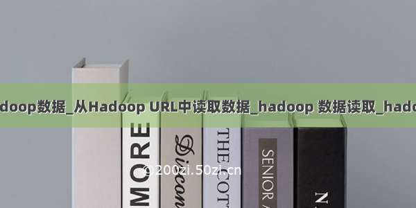 java读取hadoop数据_从Hadoop URL中读取数据_hadoop 数据读取_hadoop读取文件