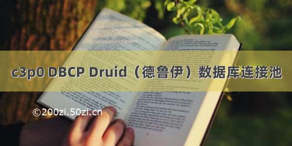 c3p0 DBCP Druid（德鲁伊）数据库连接池