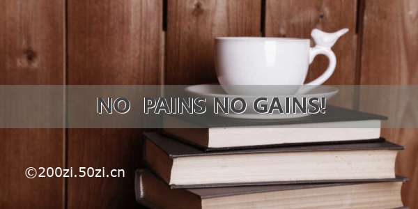 NO  PAINS NO GAINS!