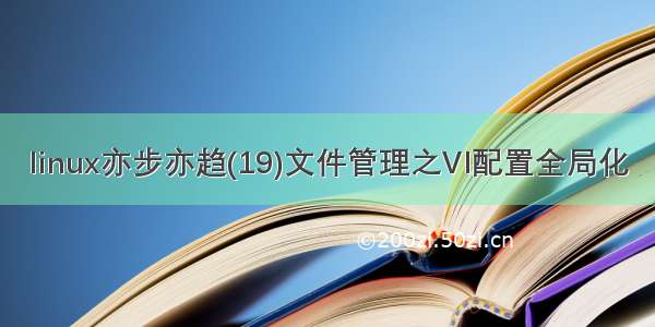 linux亦步亦趋(19)文件管理之VI配置全局化