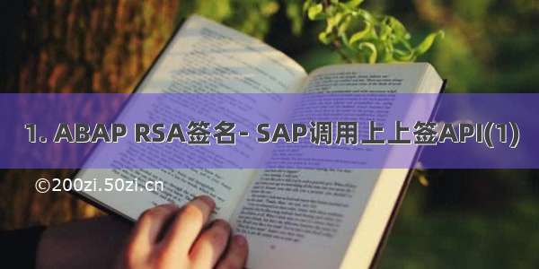 1. ABAP RSA签名- SAP调用上上签API(1)