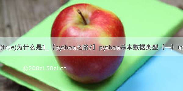 python中int(true)为什么是1_【python之路7】python基本数据类型（一）int bool string