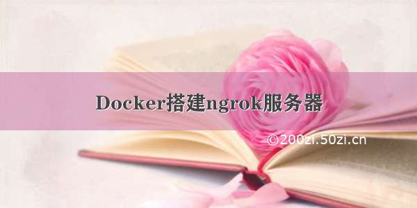 Docker搭建ngrok服务器