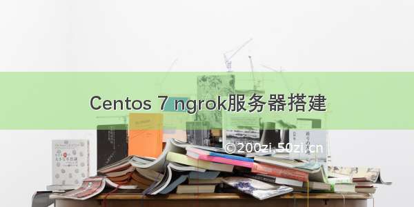 Centos 7 ngrok服务器搭建