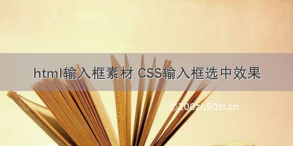 html输入框素材 CSS输入框选中效果