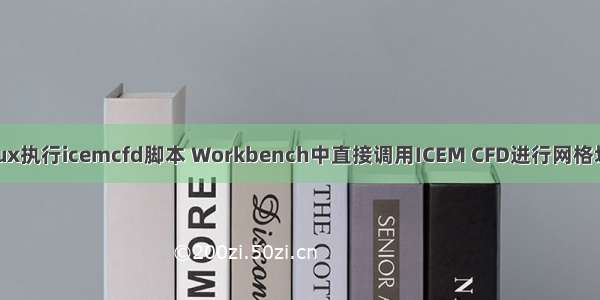 linux执行icemcfd脚本 Workbench中直接调用ICEM CFD进行网格划分