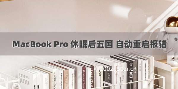 MacBook Pro 休眠后五国 自动重启报错