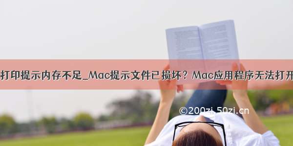 excel文件无法打印提示内存不足_Mac提示文件已损坏？Mac应用程序无法打开或文件损坏的