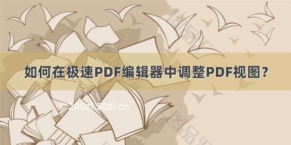 如何在极速PDF编辑器中调整PDF视图？