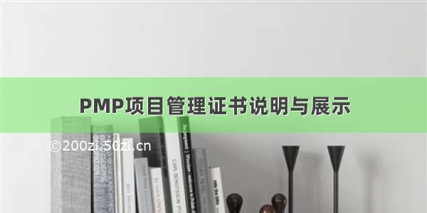 PMP项目管理证书说明与展示