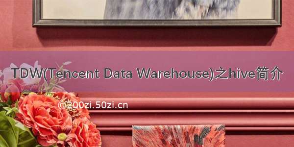 TDW(Tencent Data Warehouse)之hive简介