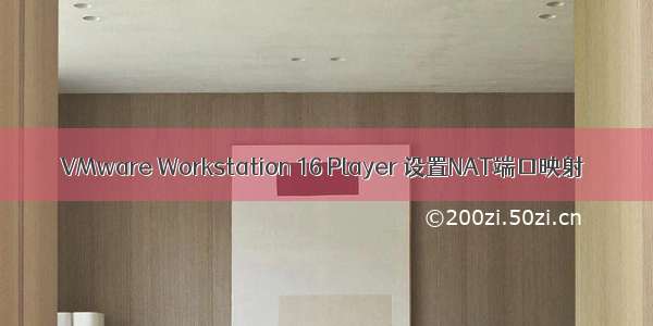 VMware Workstation 16 Player 设置NAT端口映射