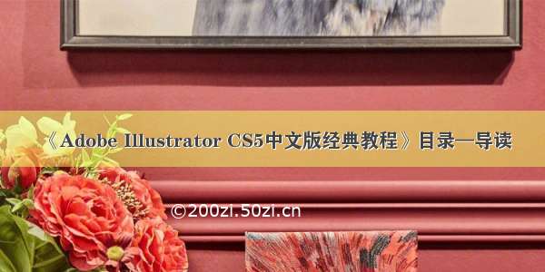 《Adobe Illustrator CS5中文版经典教程》目录—导读