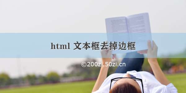 html 文本框去掉边框