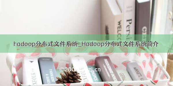 hadoop分布式文件系统_Hadoop分布式文件系统简介