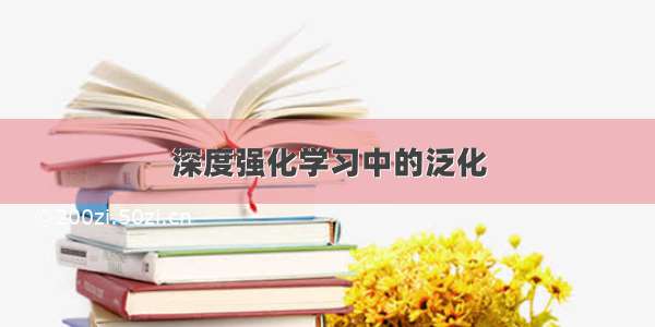 深度强化学习中的泛化