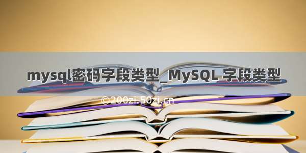 mysql密码字段类型_MySQL 字段类型