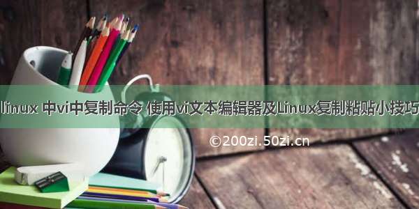 linux 中vi中复制命令 使用vi文本编辑器及Linux复制粘贴小技巧