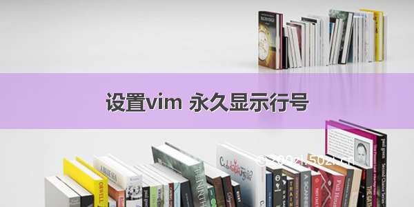 设置vim 永久显示行号