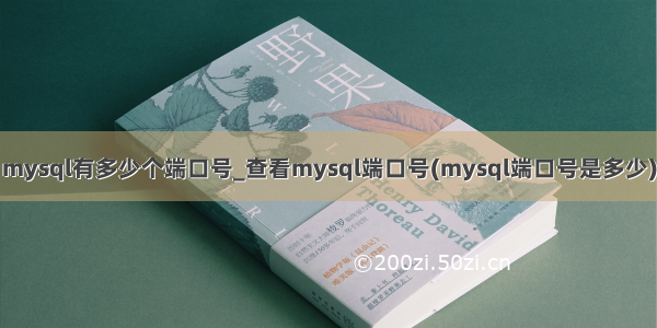 mysql有多少个端口号_查看mysql端口号(mysql端口号是多少)