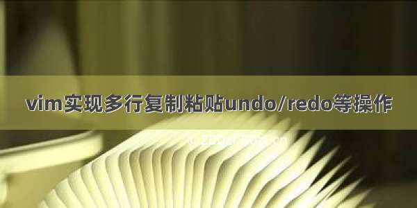 vim实现多行复制粘贴undo/redo等操作