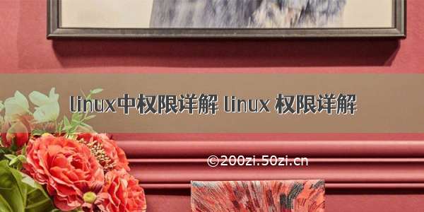 linux中权限详解 linux 权限详解