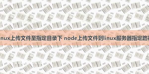 linux上传文件至指定目录下 node上传文件到linux服务器指定路径