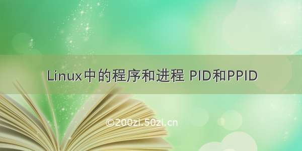 Linux中的程序和进程 PID和PPID