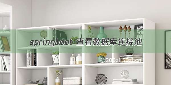 springboot 查看数据库连接池